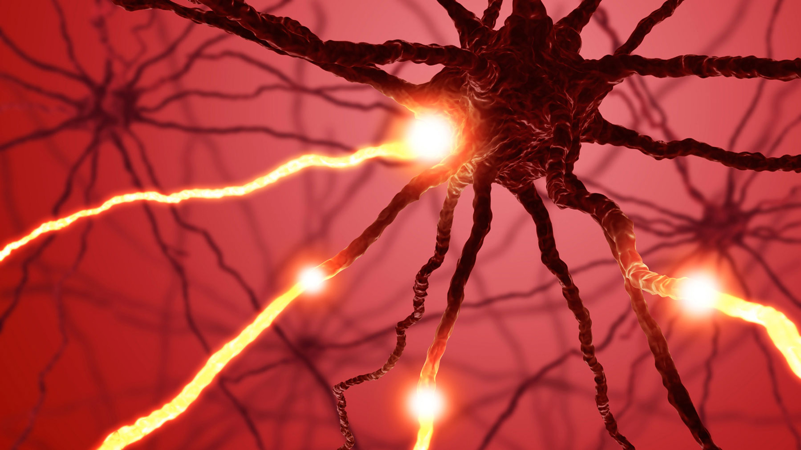 新可来被纳入2022国家医保目录,用于治疗成人嗜酸性肉芽肿性多血管炎 葛兰素史克公司网站