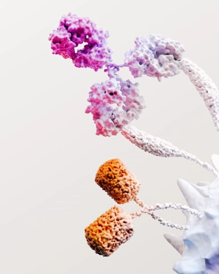 公司首页 抽象 细胞图片