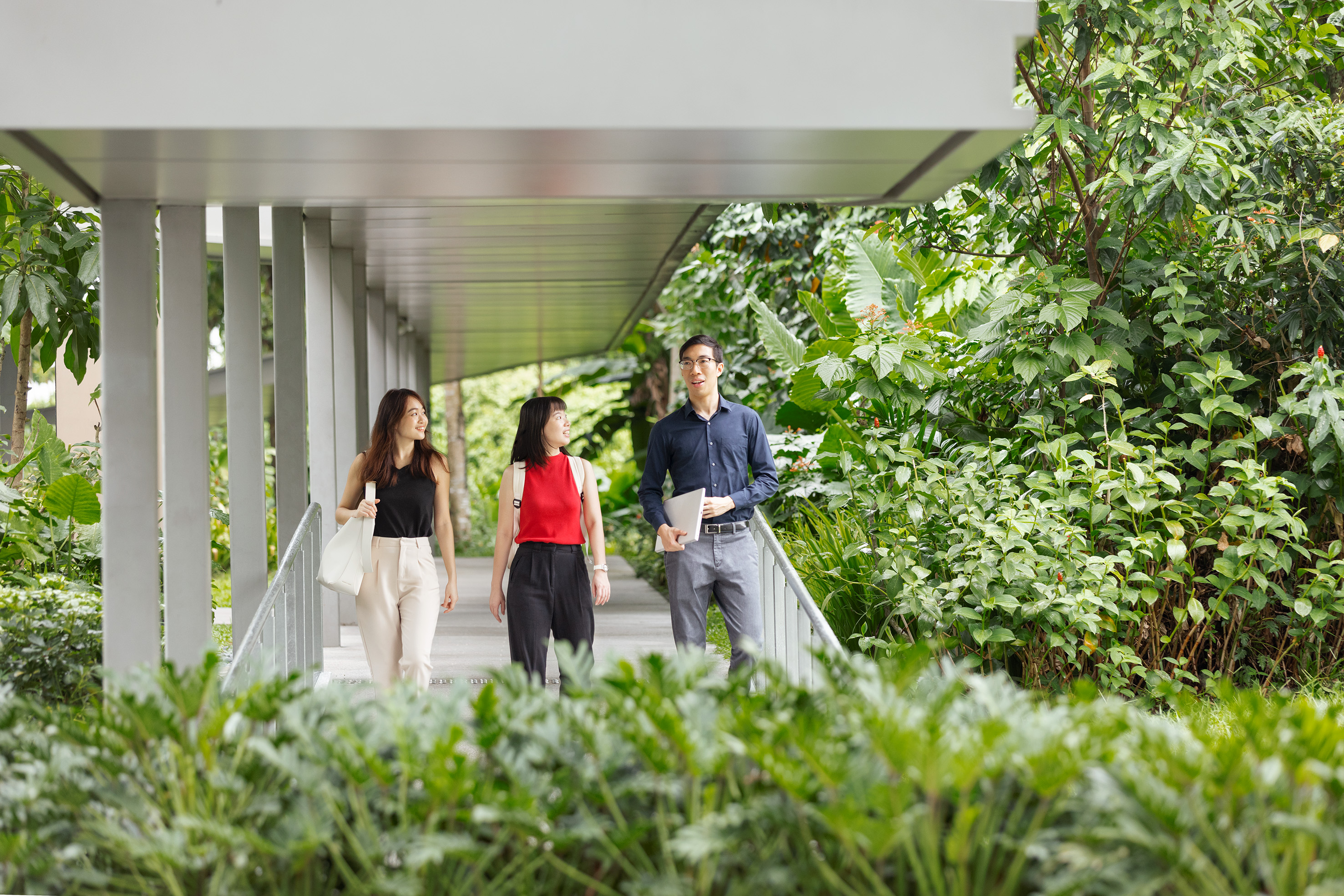 我们的文化 三人 室外