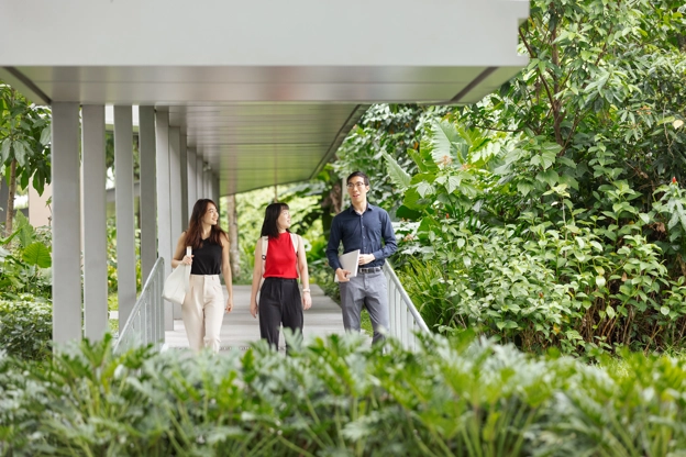 我们的文化 三人 室外