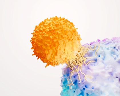T-cell and cancer tumour science