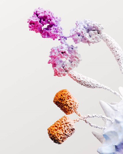 Immuno Oncology Science Image